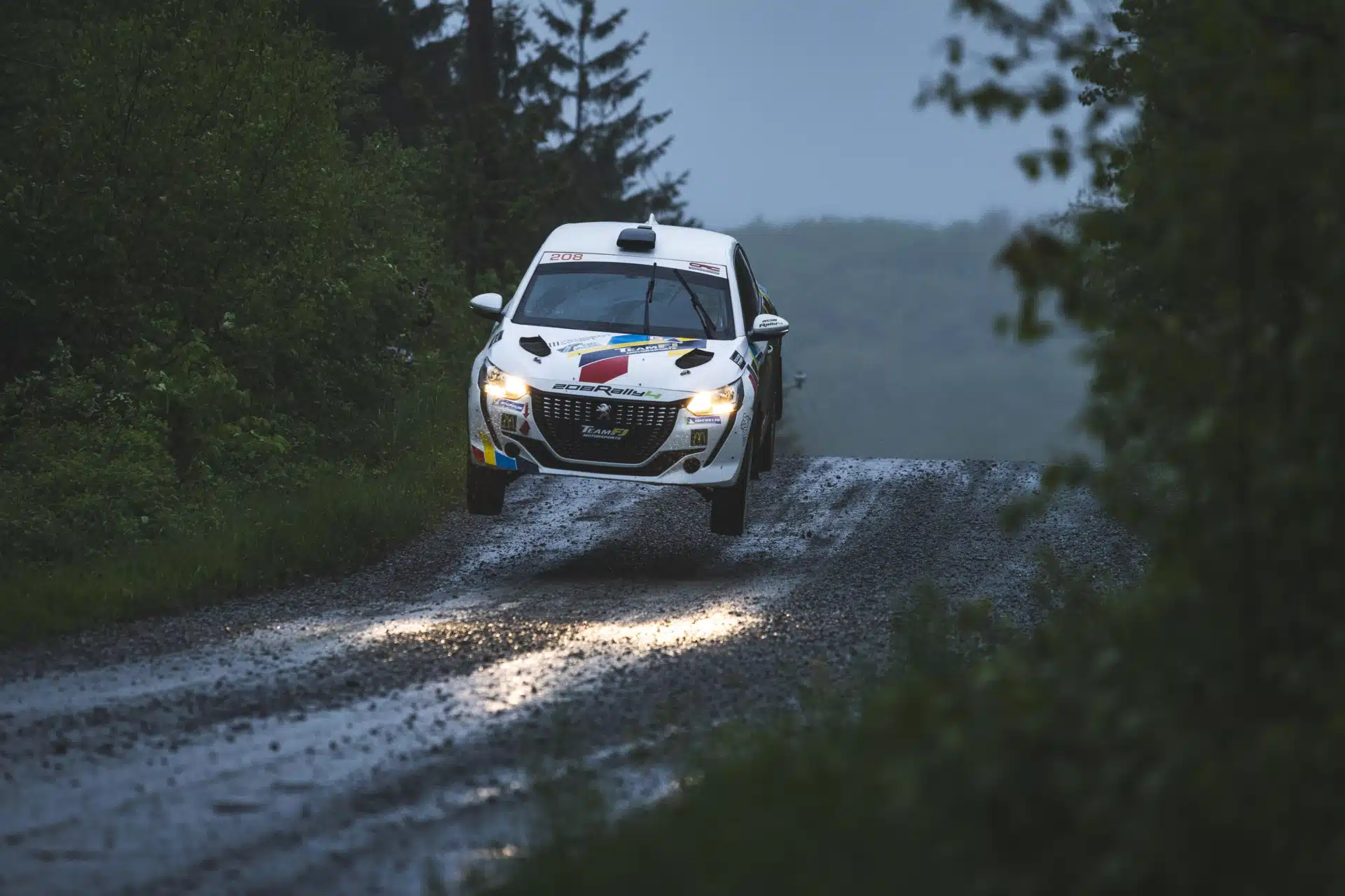 Peugeot 208 Rally6 en spéciale