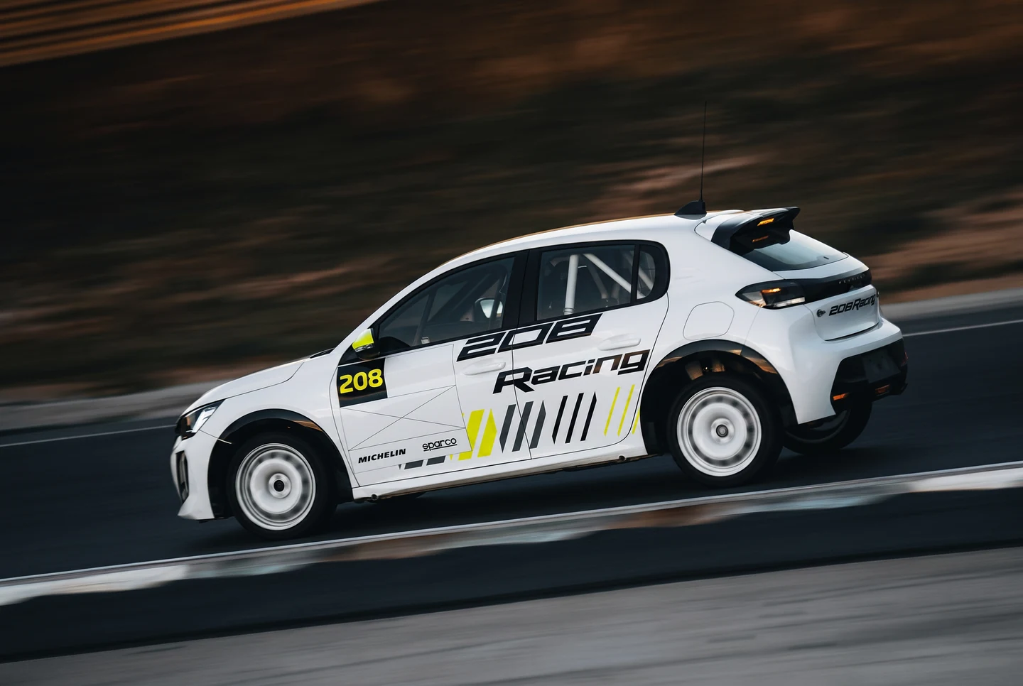 Peugeot 208 Rally6 de Joucla Sport Rally Team en action